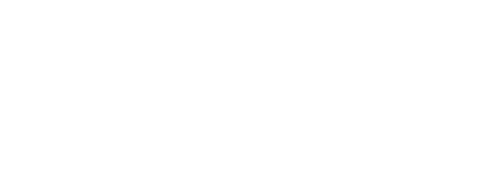 Learn to Skate USA